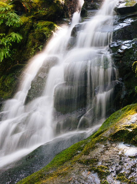 Sustainable Development04