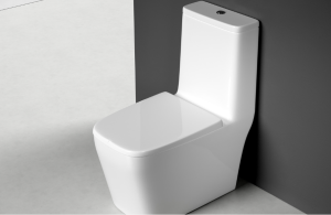 One-Piece vs Two-Piece Toilets Which Is Better for Everyday Use