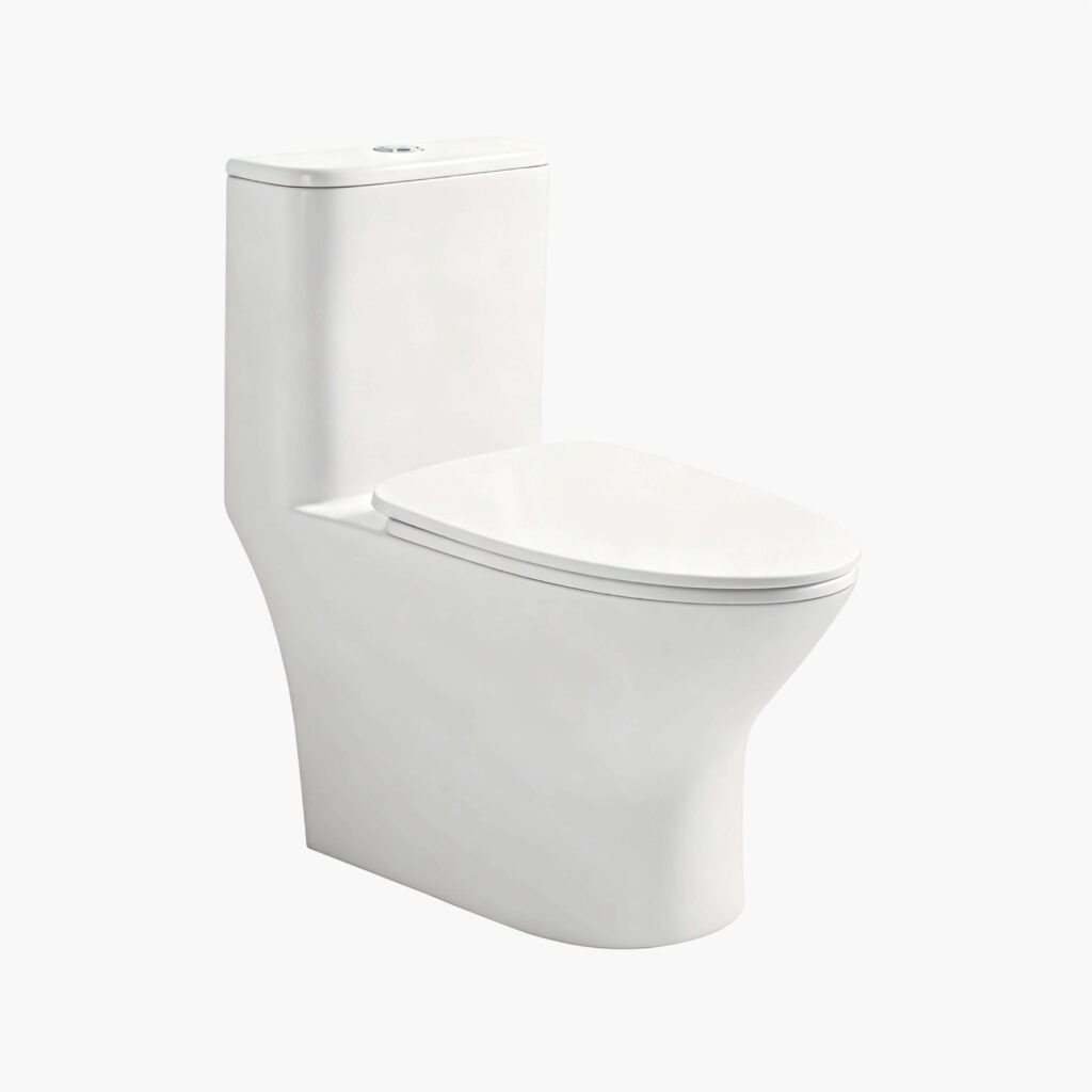 TCT-10A toilet